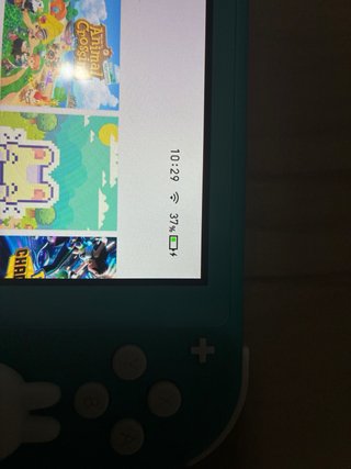 Nintendo Switch Lite Edición Animal Crossing