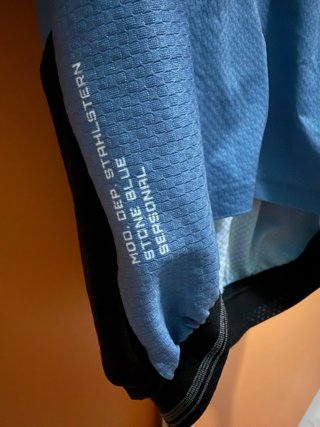 Maglia Ciclismo Assos GT EVO 2