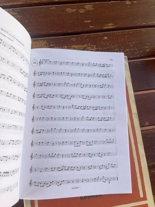 Libri Solfeggio e Teoria Musicale