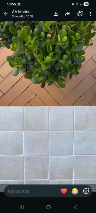 Azulejo rectangular de terracota