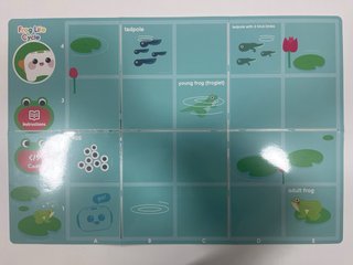 Tapetes Robot Educativo Talebot Pro