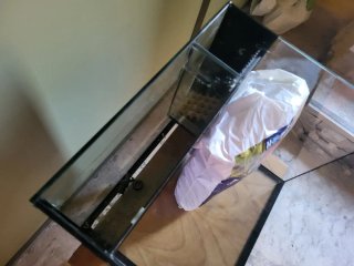 Pecera de cristal