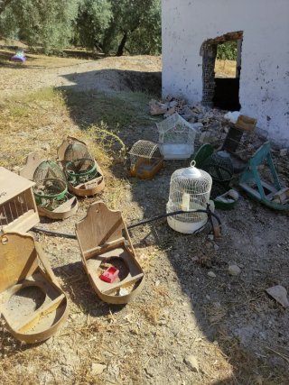 Lote Jaulas y Terreros Pájaros y jaula con soporte