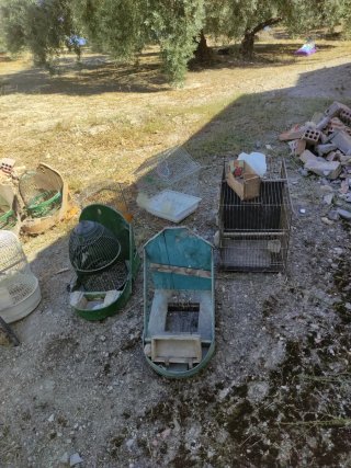 Lote Jaulas y Terreros Pájaros y jaula con soporte