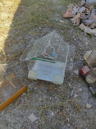 Lote Jaulas y Terreros Pájaros y jaula con soporte