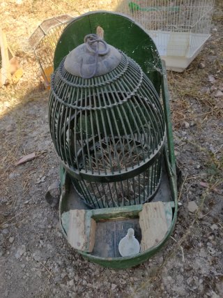 Lote Jaulas y Terreros Pájaros y jaula con soporte