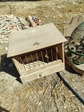 Lote Jaulas y Terreros Pájaros y jaula con soporte
