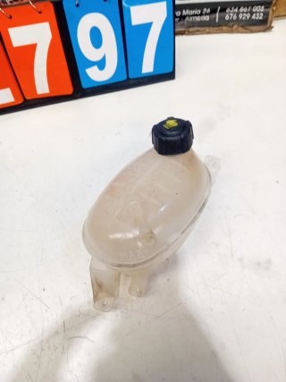 Vaso expansión Dacia/Renault 217101878R