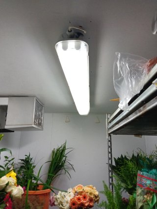 Cámara frigorífica industrial