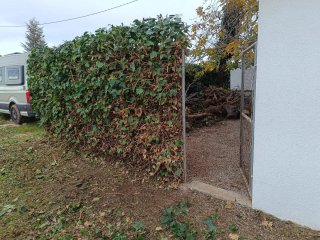 Limpieza y mantenimiento de jardines