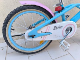 Bicicleta Infantil 20 Pulgadas 6-9 años