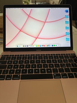 MacBook Retina 12 2017 Oro Rosa A1534