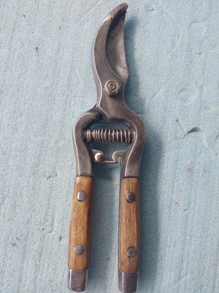 Forbici per potatura in metallo e legno