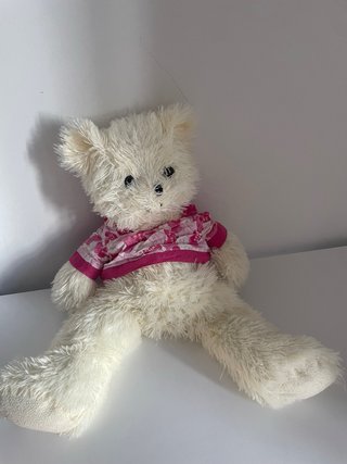 Lote 7 peluches: oso, tortuga, perro, mapache