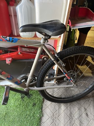 Bicicleta Beige
