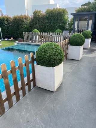 Valla madera piscina + 12 maceteros y vegetacion