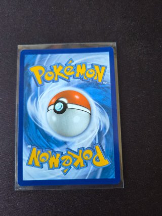 Carta Pokémon Fidough PS60