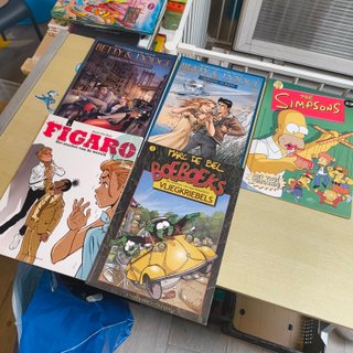 21 Comics Franco-Belgas en holandés