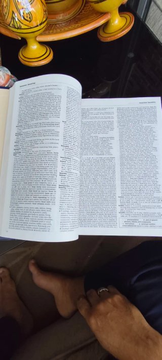 Diccionario Oxford.