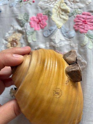 Conchiglia Capodimonte con Rose