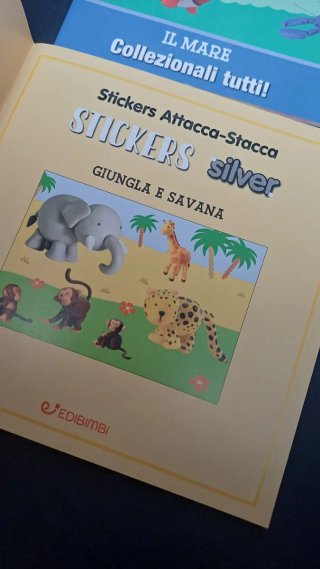 Libri di stickers