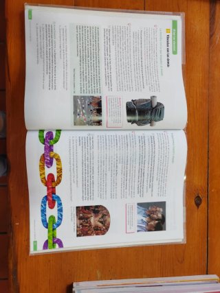 Religión Católica 3 Secundaría Revuela