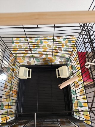 Jaula para aves