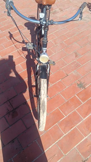 Bicicleta Estilo Americano Sun on the Beach