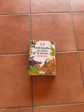 Endevinalles per abans d'anar a dormir