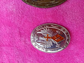 Lote 3 Insignias militares
