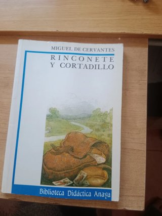 Libro de rinconete y cortadillo