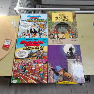 Lote 13 cómics y libros en catalán