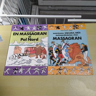 Lote 13 cómics y libros en catalán