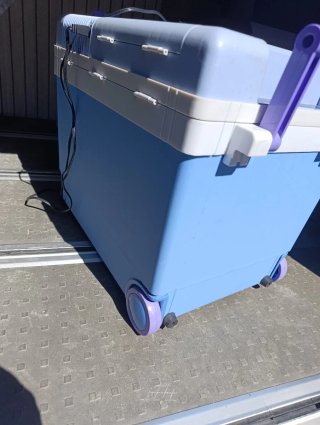Nevera termoeléctrica 12V
