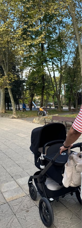 Bugaboo Fox 5 Silla + Capazo Negro