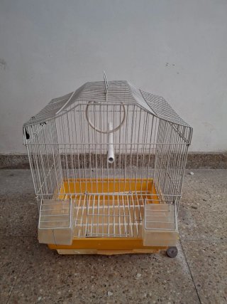 Gabbia per uccelli con accessori