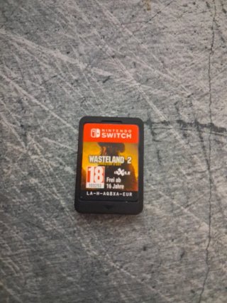 Wasteland 2 Director's Cut Nintendo Switch