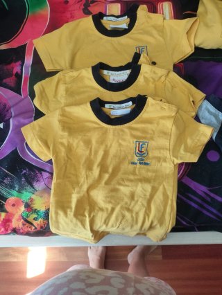 Camisetas Escolares Liceo Villafontana. Talla 2.
