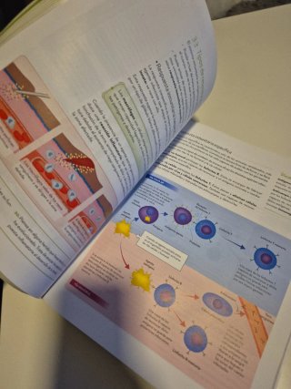 Biología y Geología, 3o ESO.