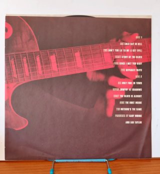 Vinilo Gary Moore - After Hours (1992)