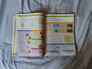 Biología, Geología y Ciencias Ambientales 1 Bac...