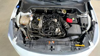 Ford FOCUS 1.0 Ecoboost MHEV 92kW Active Auto (2023)