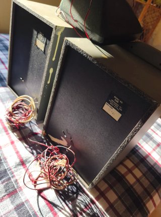 Altavoces Thomson Negros y Grises