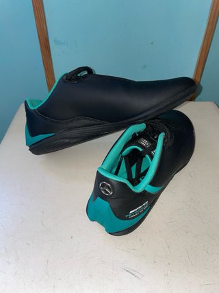 Pumas Mercedes Formula 1
