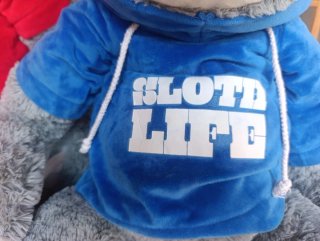 Peluche Perezoso con Sudadera Azul