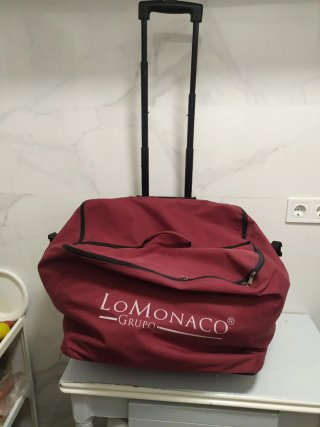 Bolso grande de viaje