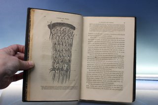 Libro de medicina s.XIX. El cerebro y sus funciones. J. Luys. 1878.