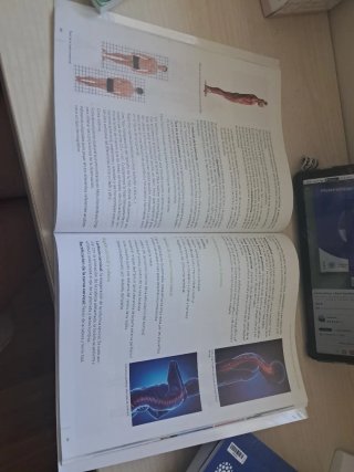 Pértiga. Educación física 1 BACH. Teide