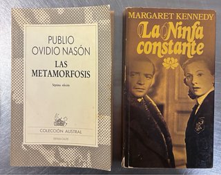 Libros en español baratos (caja 10)