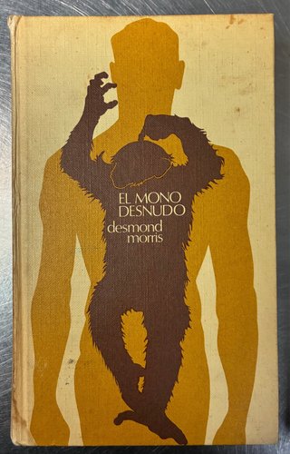 Libros en español baratos (caja 10)
